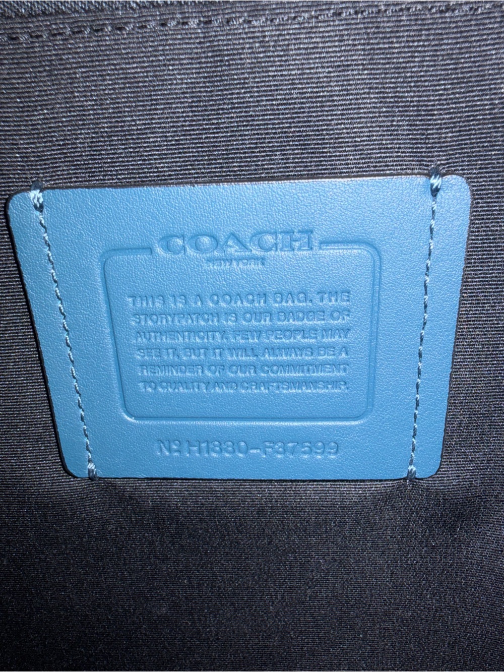 Coach Two-Tone Blue and Black Men's Backpack - Picture 4 of 5